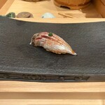 鮨 こん藤 - どんちっちうますぎ