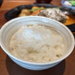 君のハンバーグを食べたい - 