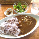 ドーフィン - 貴味カレーセット