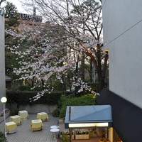 レストラン・パッション - 外観＠2010/04/03