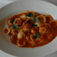 Ristorante IL FIGO INGORDO - 水牛のモッツァレラとトマトのオレキエッテ