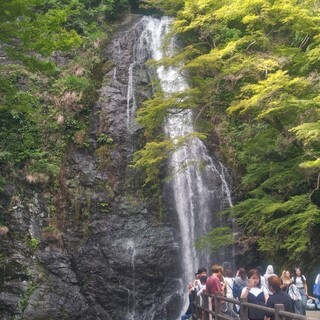 山本珈琲館_1