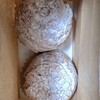ポワソン・ダブリール - 料理写真: