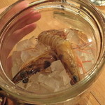 浪花ろばた 頂鯛 - 頂鯛（itadakitai）