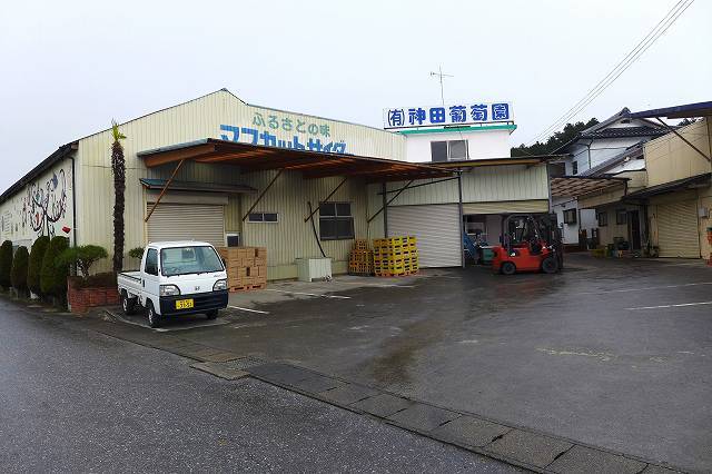 神田葡萄園 - 脇ノ沢（その他）の写真