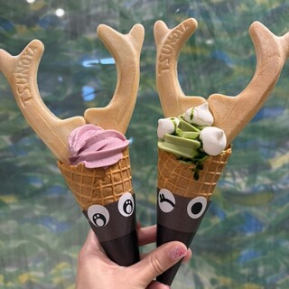 アロンビアン販売所_1