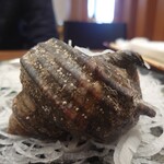 姫路まえどれ市場 - さざえ♥今日は大きい目でしたょ♪