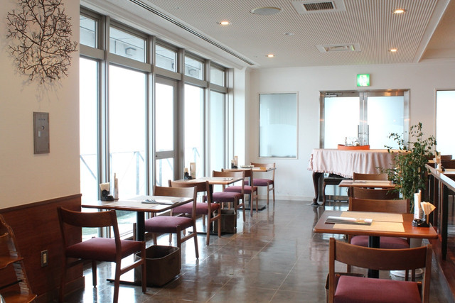 Costa Rica City Garden photo 4