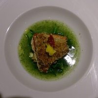 MOTORA  - 
