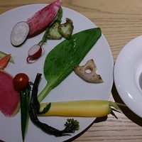 MOTORA  - 