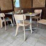 Macaca - 