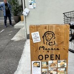 Macaca - 