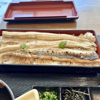 魚夏_0