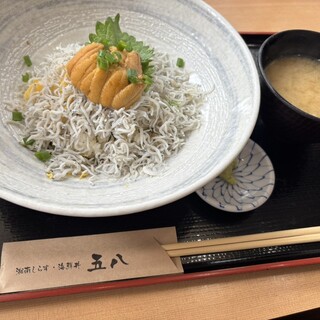 湘南しらす海鮮丼専門店 五八_0