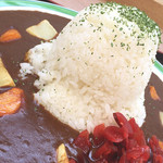 道の駅 富士吉田 軽食コーナー  - レーダードームカレー(大盛り)