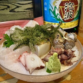 もも太郎_0