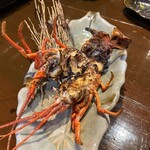 海鮮居酒屋 海の玉手箱 - 