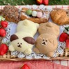 和ベーカリーぱんどら屋