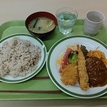 シェ・デジマ - 名工ランチ　雑穀米