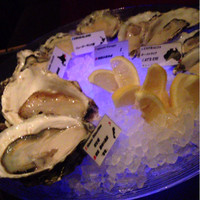 MAIMON GINZA - 