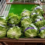 ヤツレン ソフトクリーム売店 - 