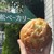 大松ベーカリー - 料理写真:明太じゃがバター 210円