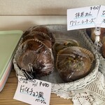 Toful Bagel cafe - 