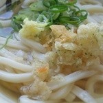 西端手打 上戸うどん - 天カス、ねぎ、しょうが。