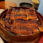 炭火鰻と特選和牛ふじさん 浜松原島店