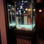 NEO SHOT BAR　深海の洞窟 - クラゲ水槽