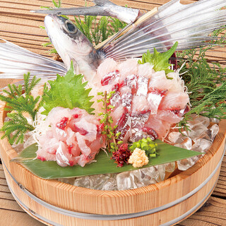 6月限定！〈旬〉夏の美味！