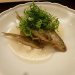 天神橋 青木 - もろこ