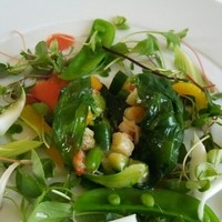 アールピーアール - ＊前菜…中にも お野菜