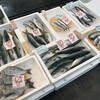 若狭小浜お魚センター - 