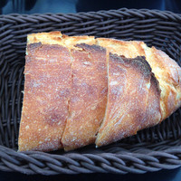 CICADA - 
