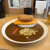 日本式カレー 弐番亭 - 【日替わりスペシャル】ふわとろオムレツ&ヒレカツ&とろけチーズ