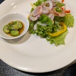 山鳩 - 