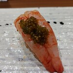 362157911 - ボタン海老（だった？）