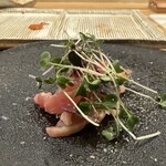 やきとり 鳥はし - 