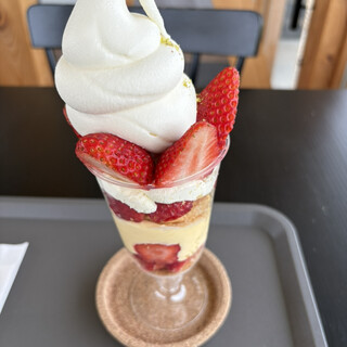 ストロベリーパーク みふね_0