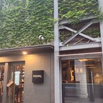 sinensis - 