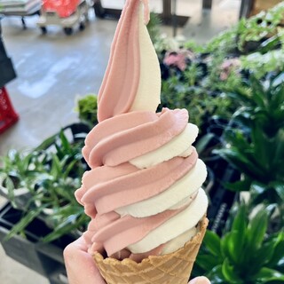 口コミ一覧 : ベジたべーな - 淵野辺/その他 [食べログ]