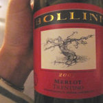 ポンテ・ベッキオ - ワインは北イタリアの赤・Bollini