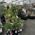 THE GARDEN ISLE - 