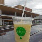 果汁工房 果琳 - ドリンク写真:パイナップルジュースL