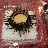リストランテ フォンタナ - ランチ・生ウニのロワイヤル