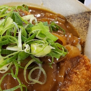 手打ちうどん ちよ志_0