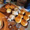 CORAL KITCHEN at garden - 