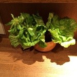 ひろや - 201503  ひろや  目の前