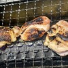 Drive-in Tori Saga ten - 若どり
